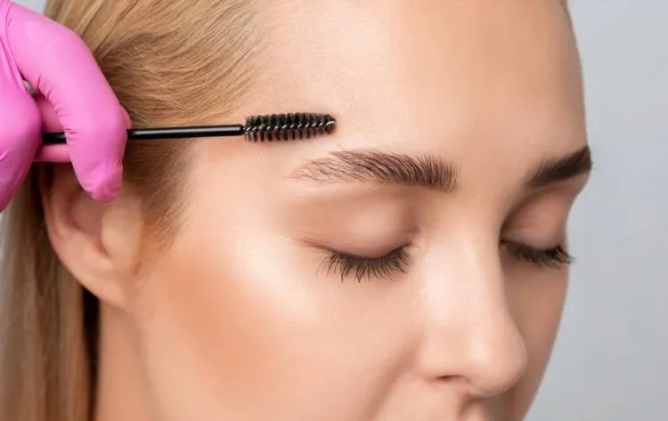 microshading sourcils