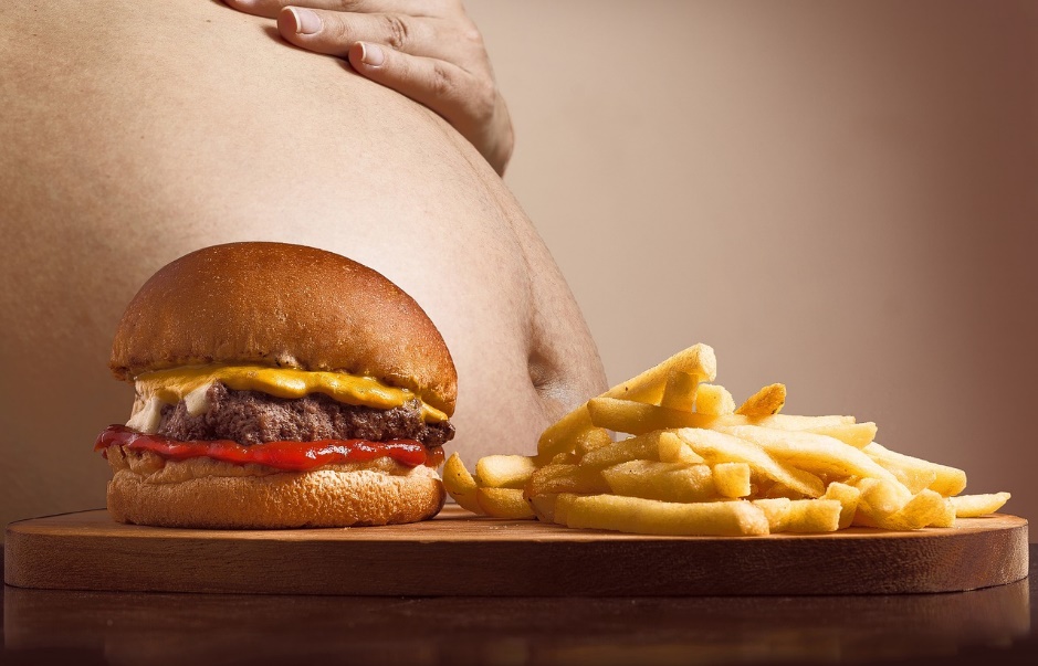 gros ventre et aliment fast food