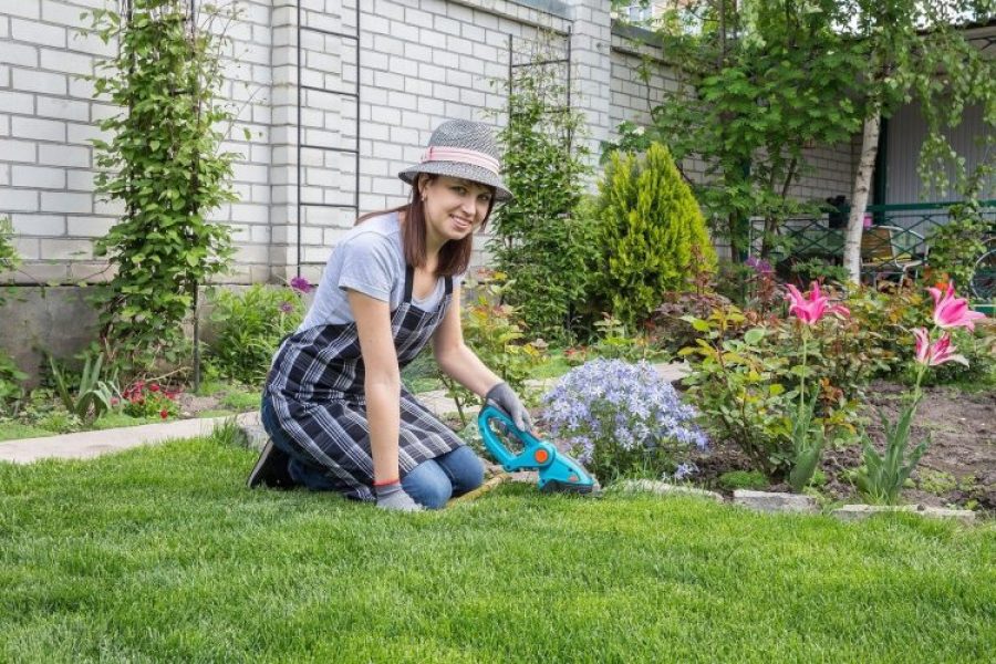 Tout_sur_les_bienfaits_du_jardinage_pour_la_santé